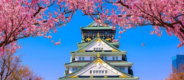 Osaka Castle framed by pink cherry blossoms