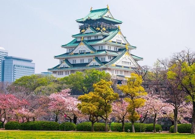 Osaka Castle surrounded by cherry blossoms