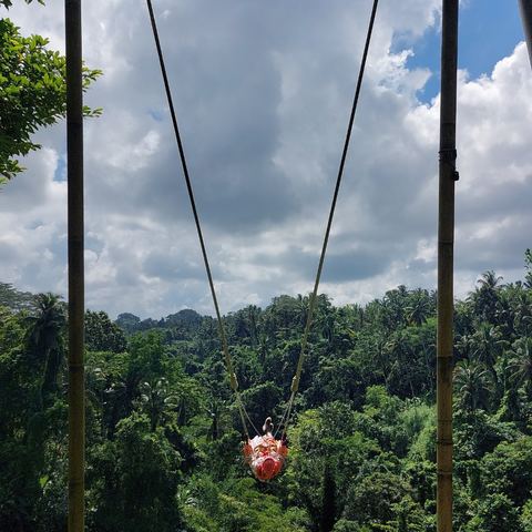 A traveler on a giant jungle swing in Bali