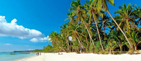 Palm trees along a white-sand beach in Boracay