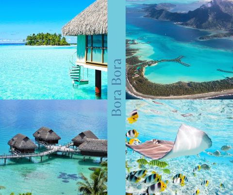 Collage of Bora Bora overwater bungalows, lagoon and marine life